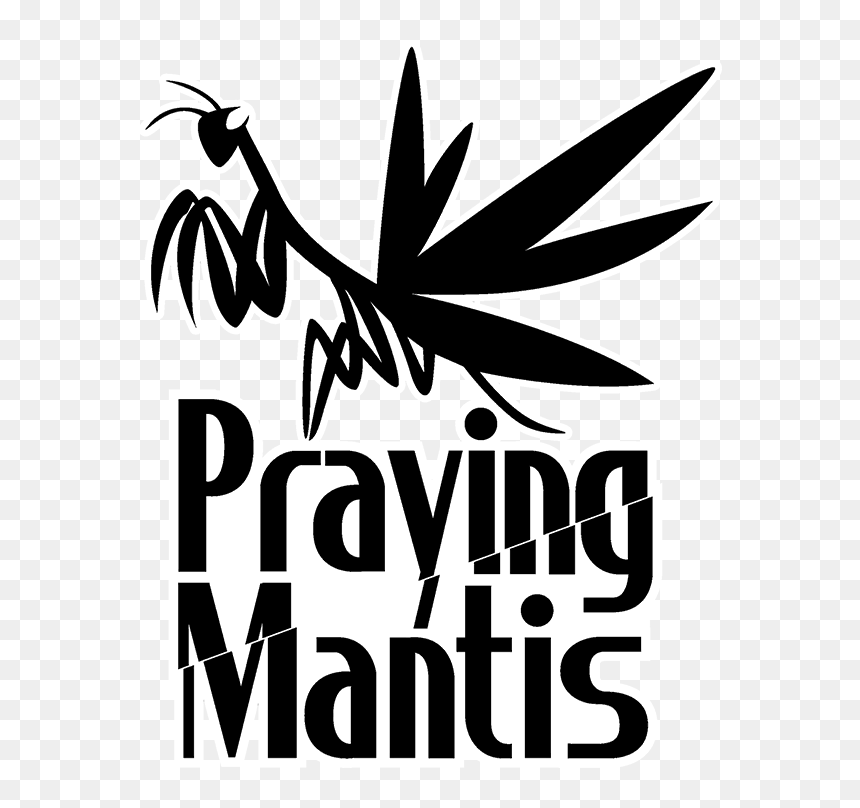 Praying Mantis Mgs, HD Png Download - praying mantis png