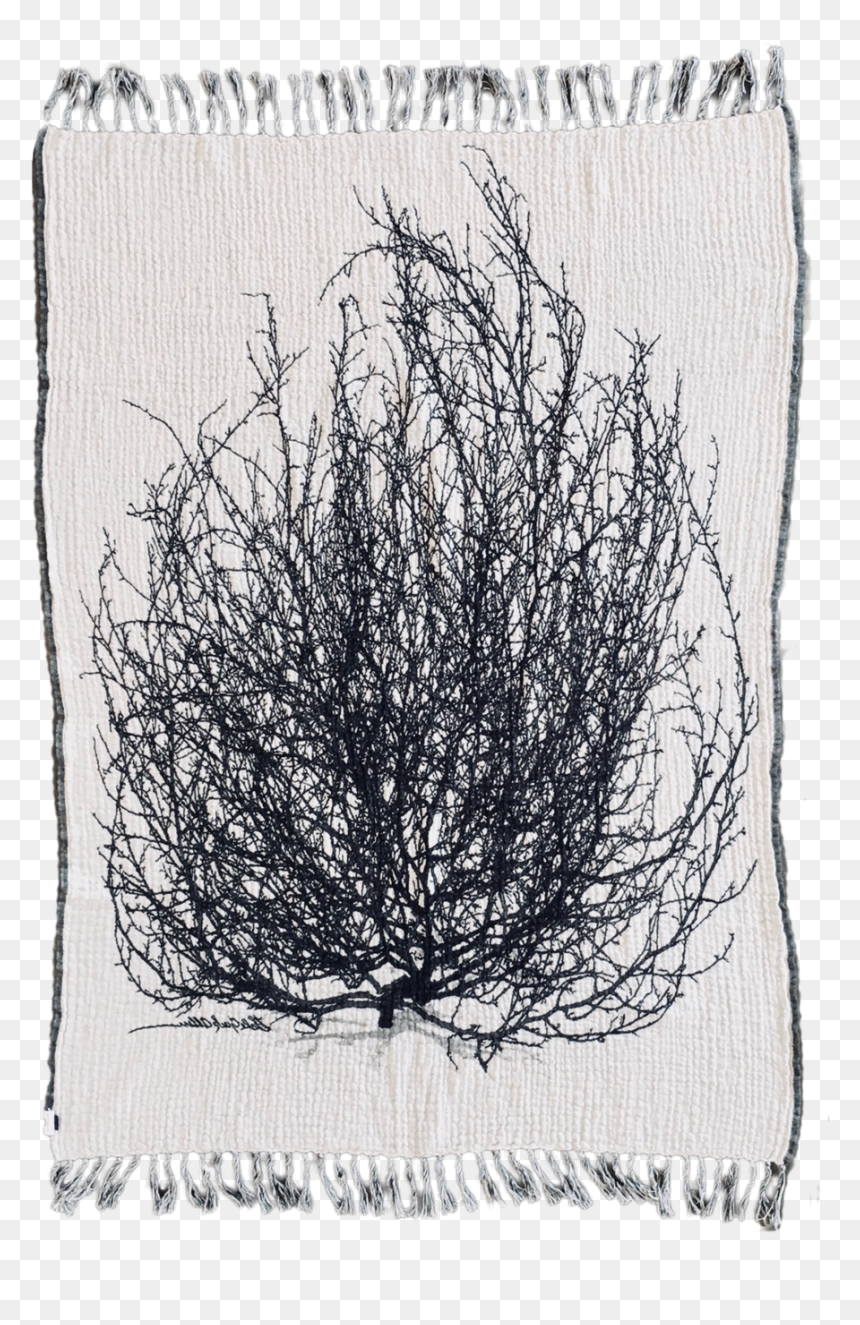 Thread, HD Png Download - tumble weed png