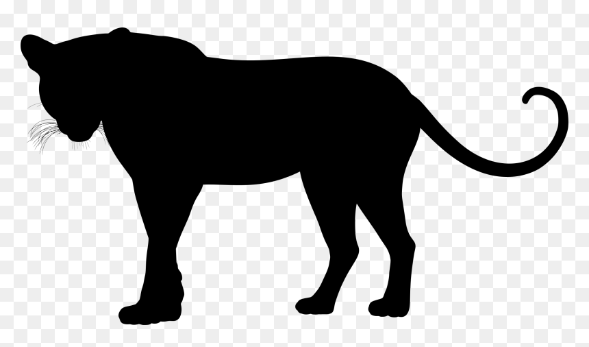 Leopard Silhouette Clip Art, HD Png Download - florida silhouette png