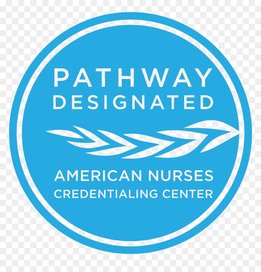 Pathway To Excellence I Get, HD Png Download - nurse joy png