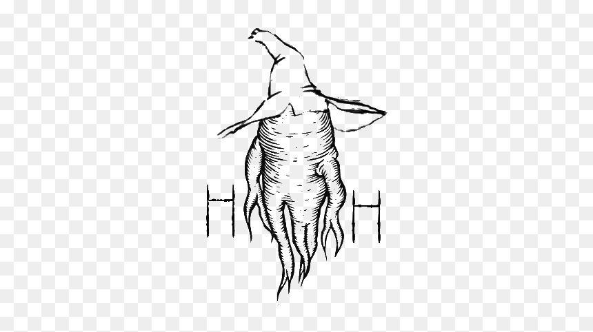 Sketch, HD Png Download - hocus pocus png