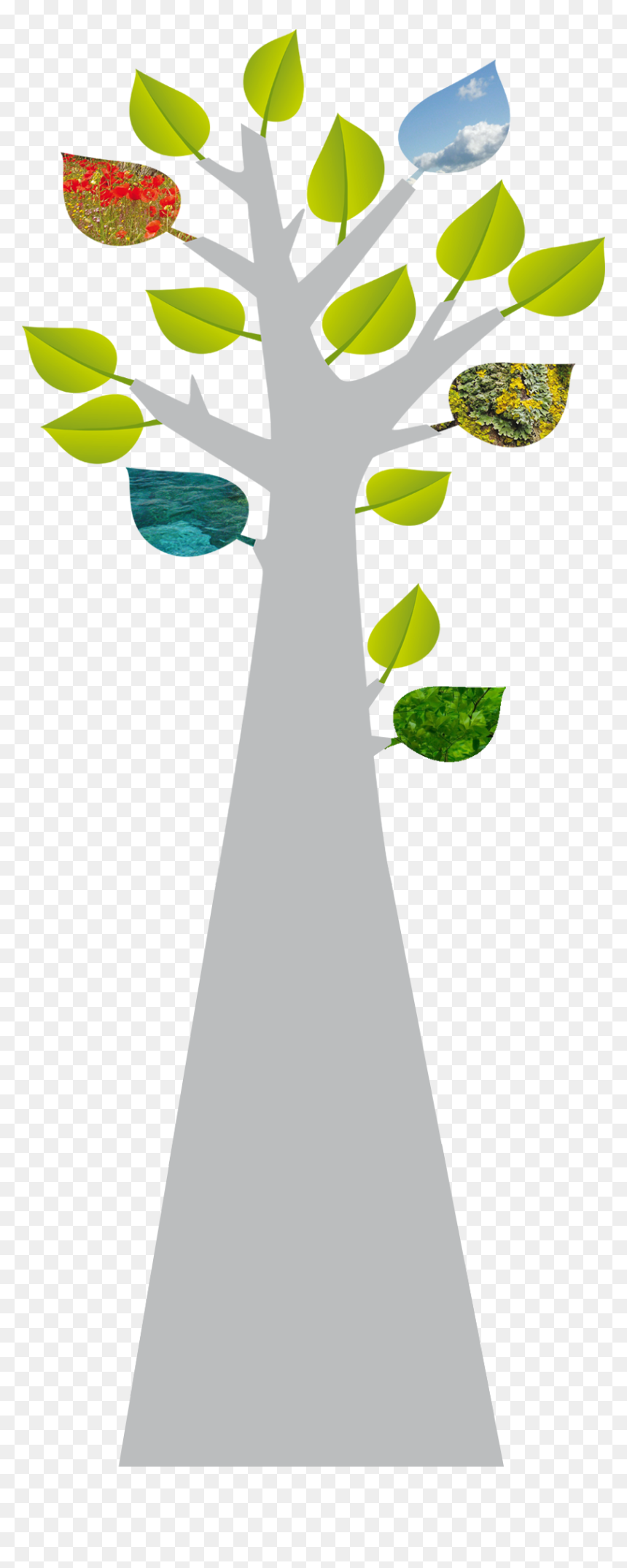 Illustration, HD Png Download - img_tree.png