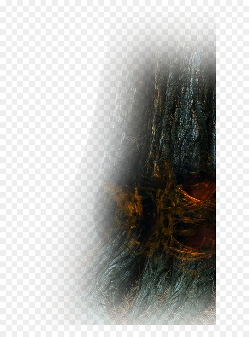 Sunlight, HD Png Download - img_tree.png