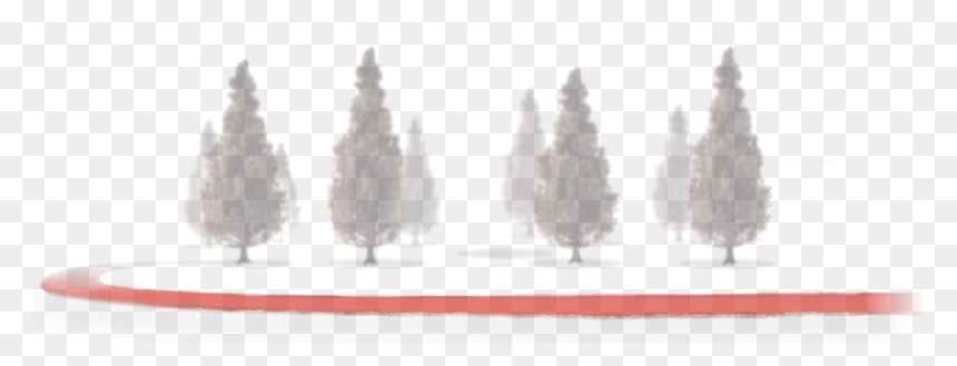 Snow, HD Png Download - img_tree.png