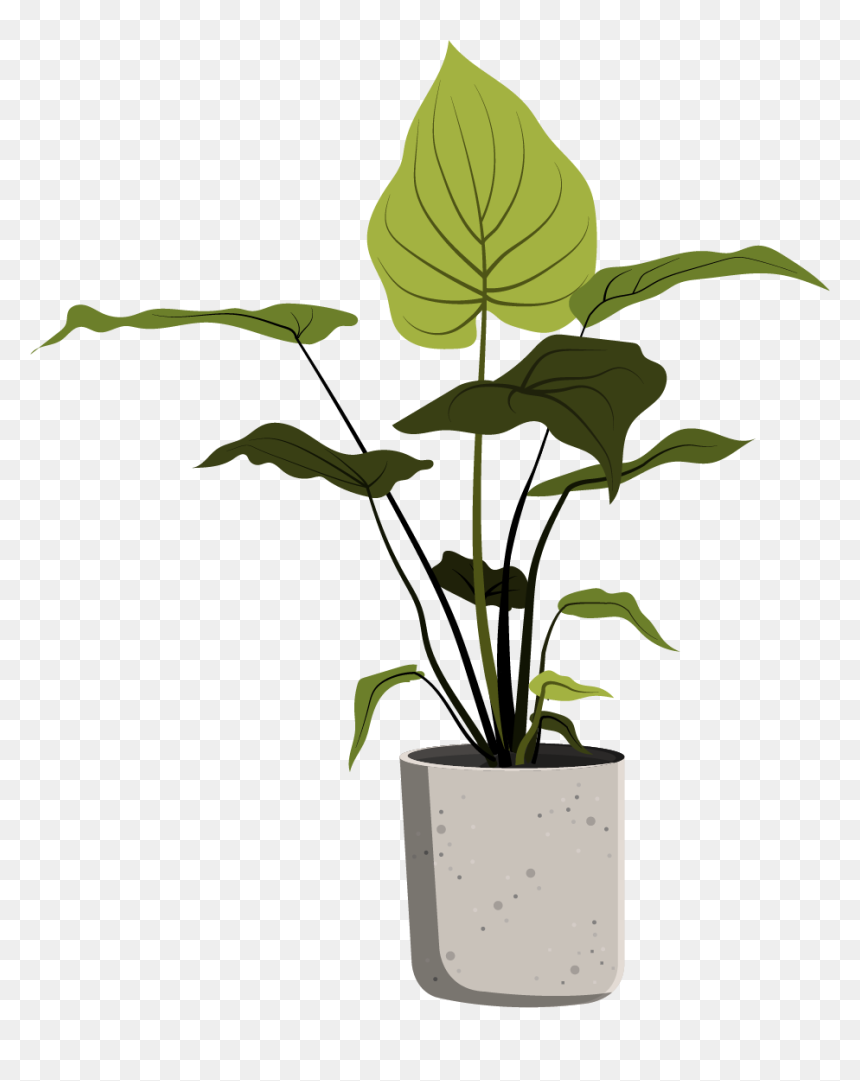 Plants In Pots Sketch, HD Png Download - planting png