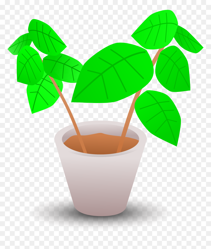 Pot Plant Clip Art, HD Png Download - planting png