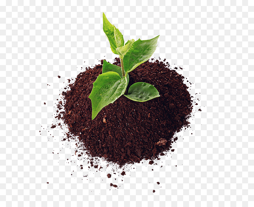 Soil, HD Png Download - planting png
