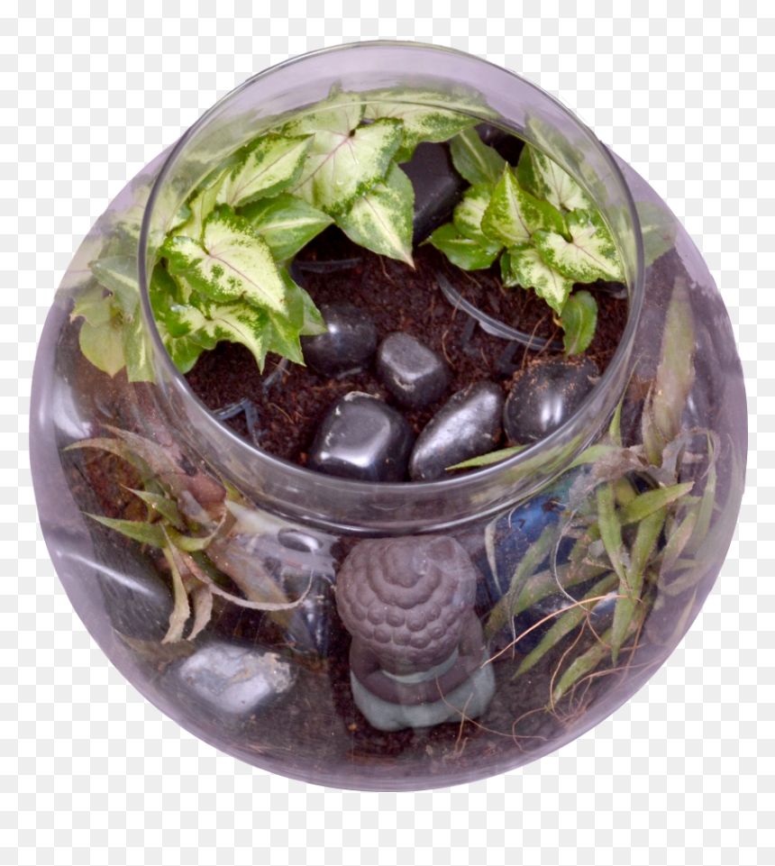 Flowerpot, HD Png Download - planting png