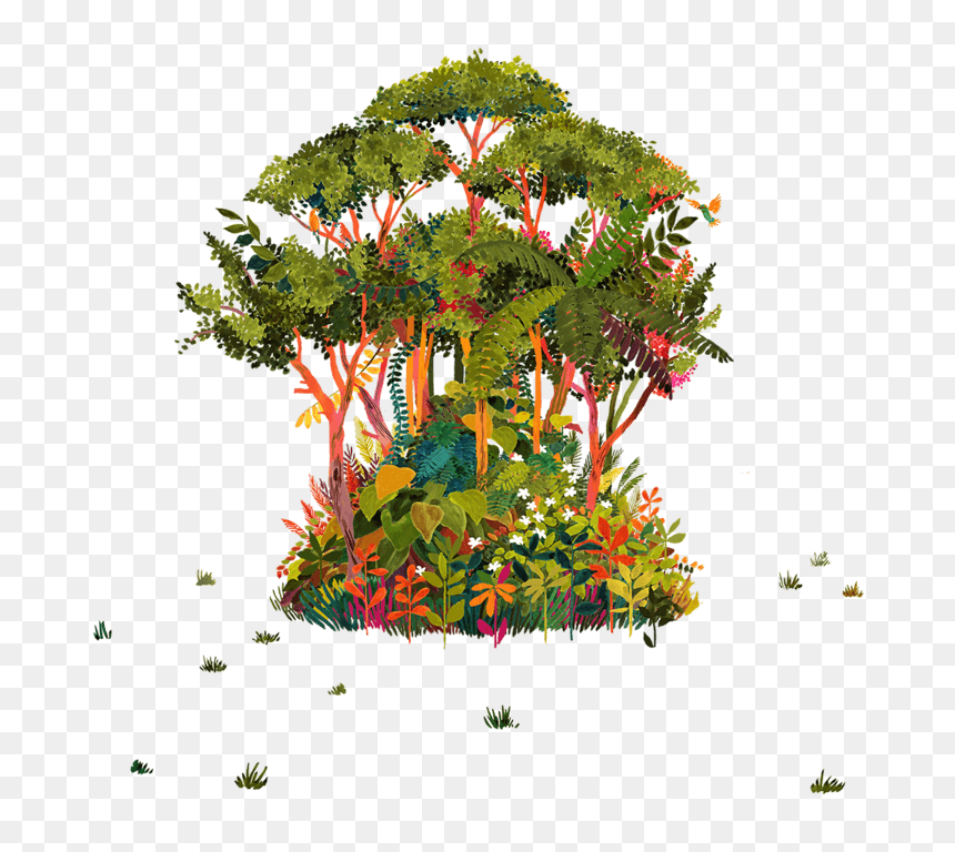 Lobelia, HD Png Download - planting png