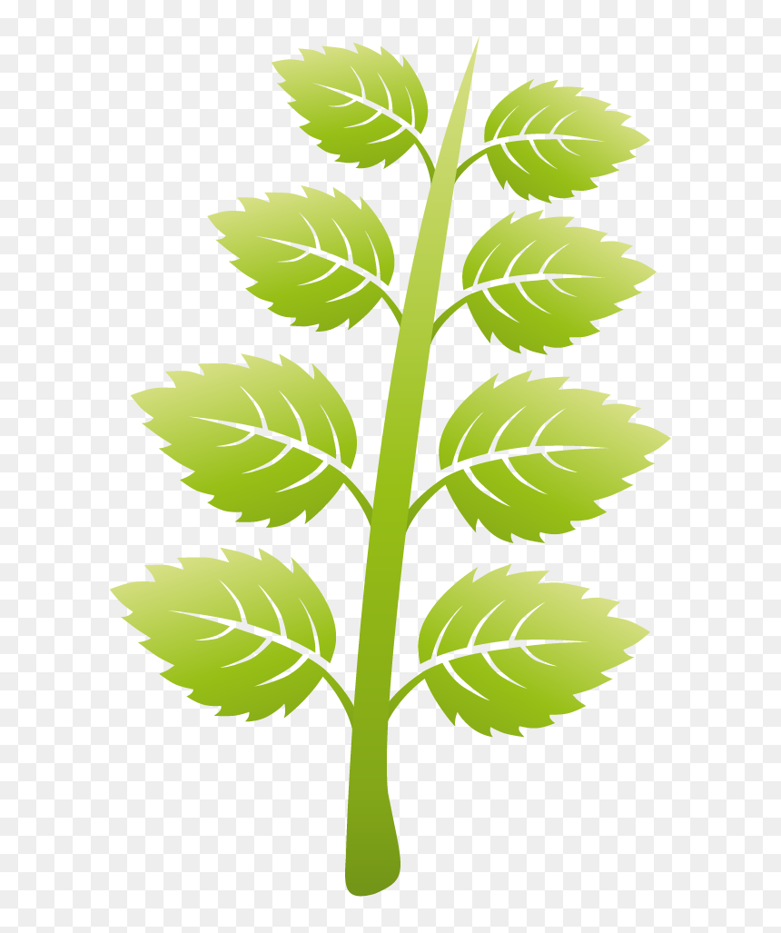 Illustration, HD Png Download - planting png