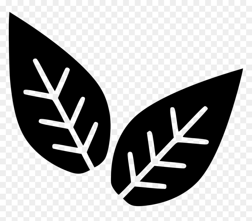 Leaves Plant Biology - Transparent Biology Icon Png, Png Download - plant icon png