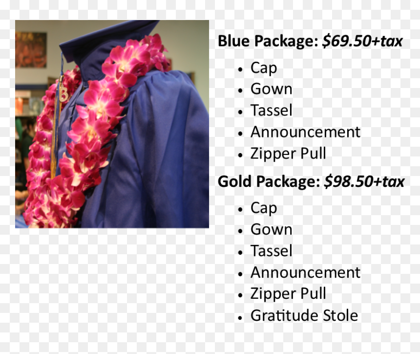 Undergraduate Package - Academic Dress, HD Png Download - gold graduation cap png