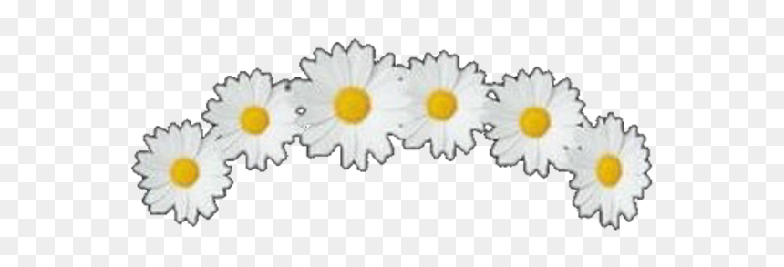 Clip Art Crown Overlays - Circle, HD Png Download - flowercrown png