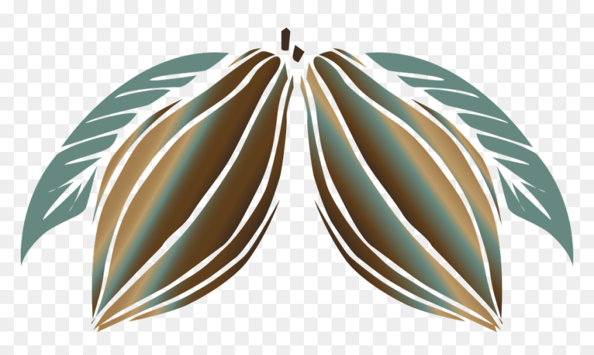 Cocoa, Chocolate, Plant, Calories, Food, Sweet, Fruit - Cacao En Dibujo, HD Png Download - cocoa png