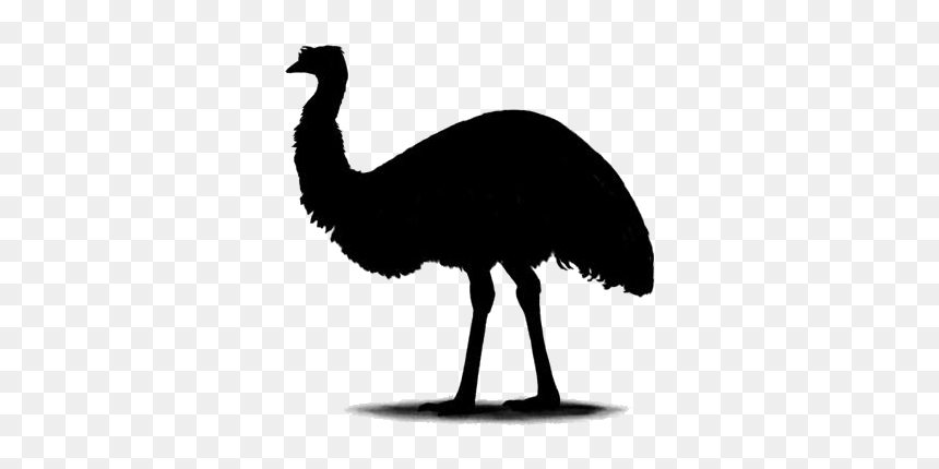 Cartoon Emu Png Transparent Images - Turkey, Png Download - emu png