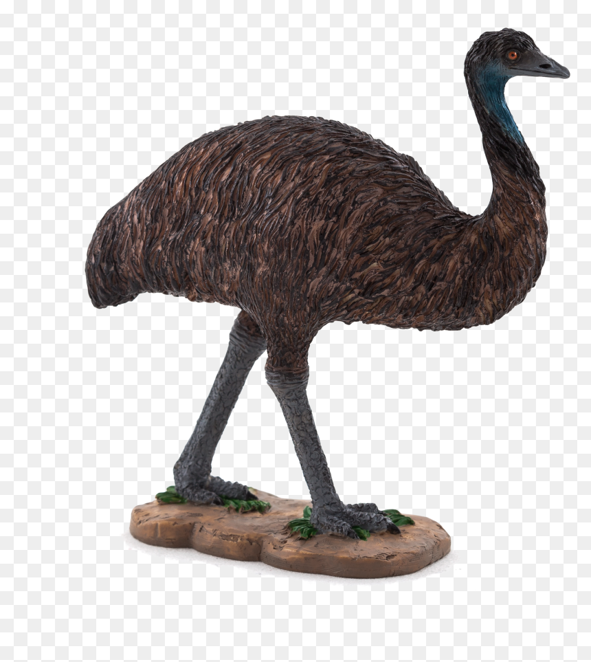 Mojo Emu, HD Png Download - emu png