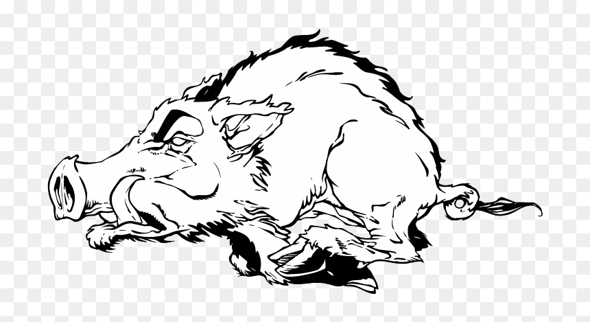 Dog Decal Arkansas Razorbacks Football Pig Sports - Arkansas Razorbacks, HD Png Download - razorback png