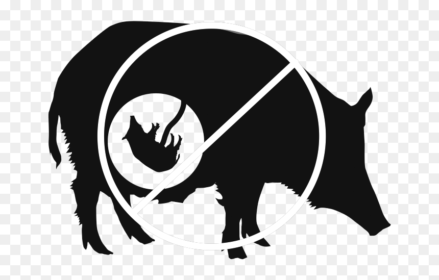 Domestic Pig Illinois Town Groundhog Day Clip Art - Portable Network Graphics, HD Png Download - razorback png