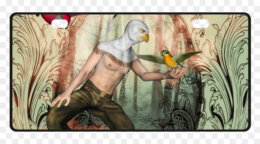 The Birdman With Birds License Plate - Visual Arts, HD Png Download - birdman png