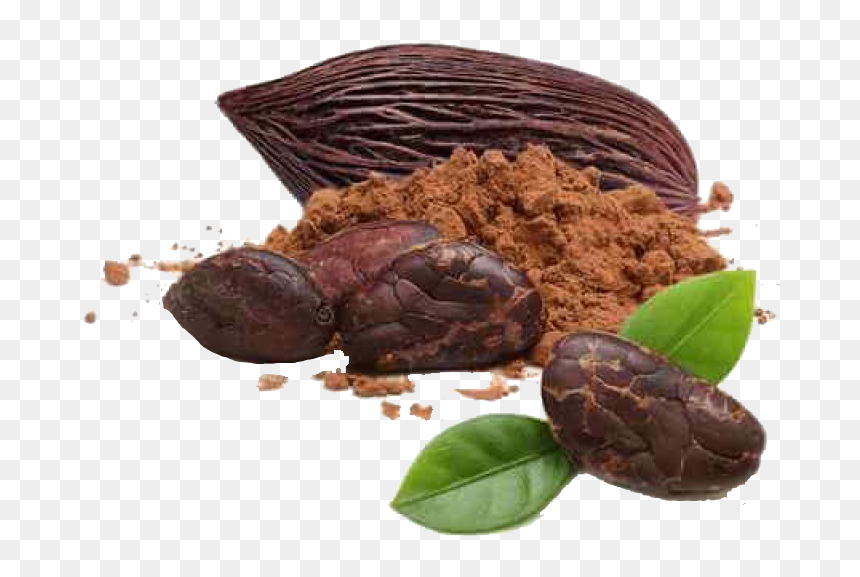 Cacao Transparent - Tiramissu Png, Png Download - cacao png