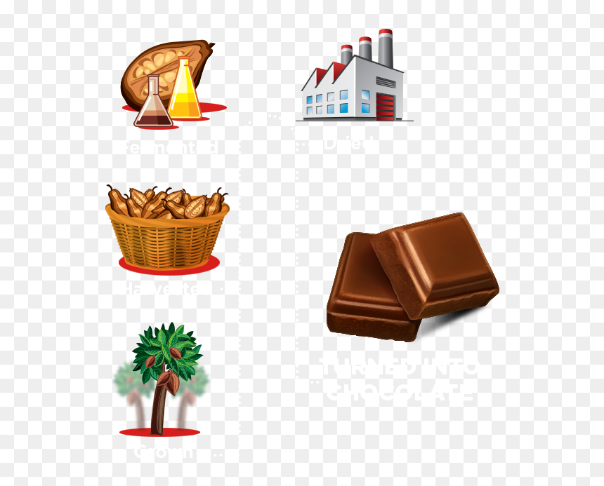 Farms - Chocolate, HD Png Download - cocoa png