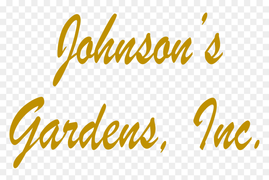 Calligraphy, HD Png Download - johnson and johnson png