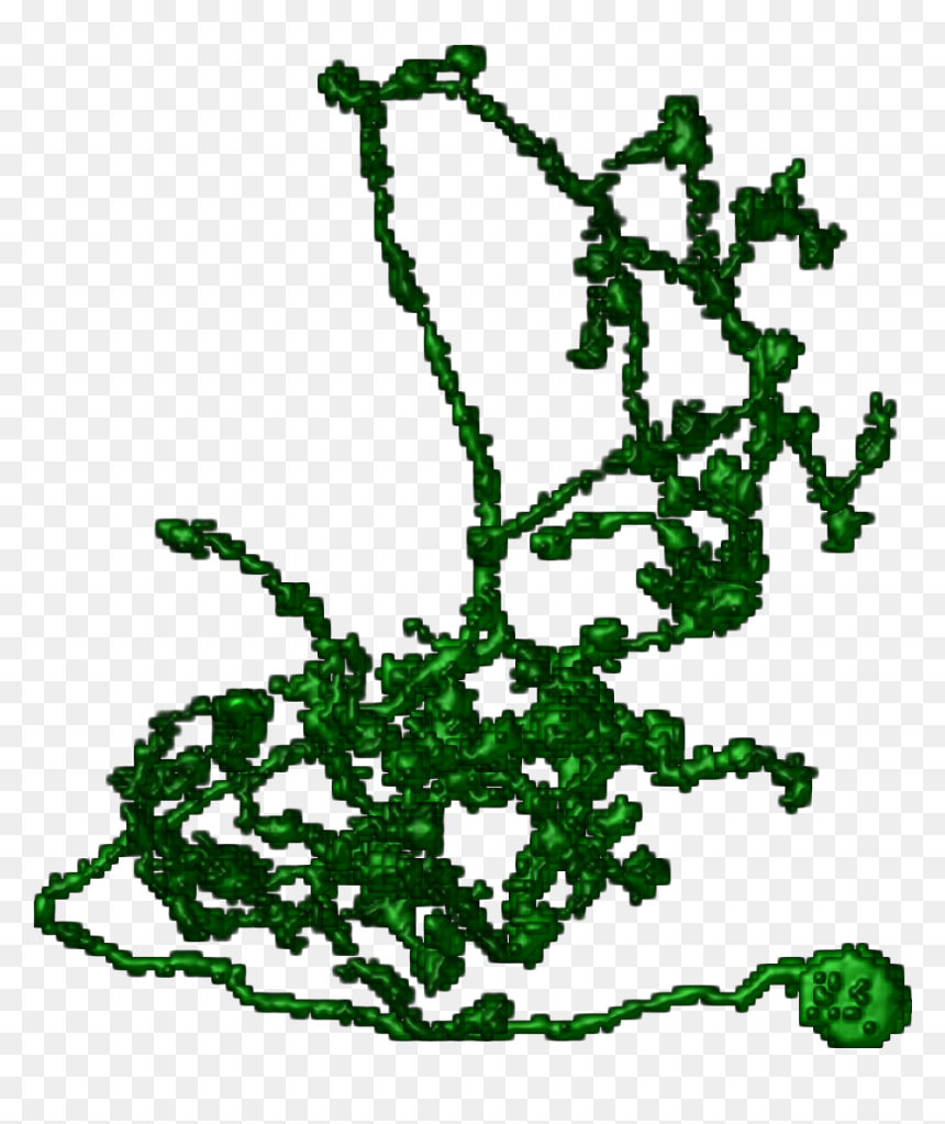 Neurons Png , Png Download, Transparent Png - neurons png