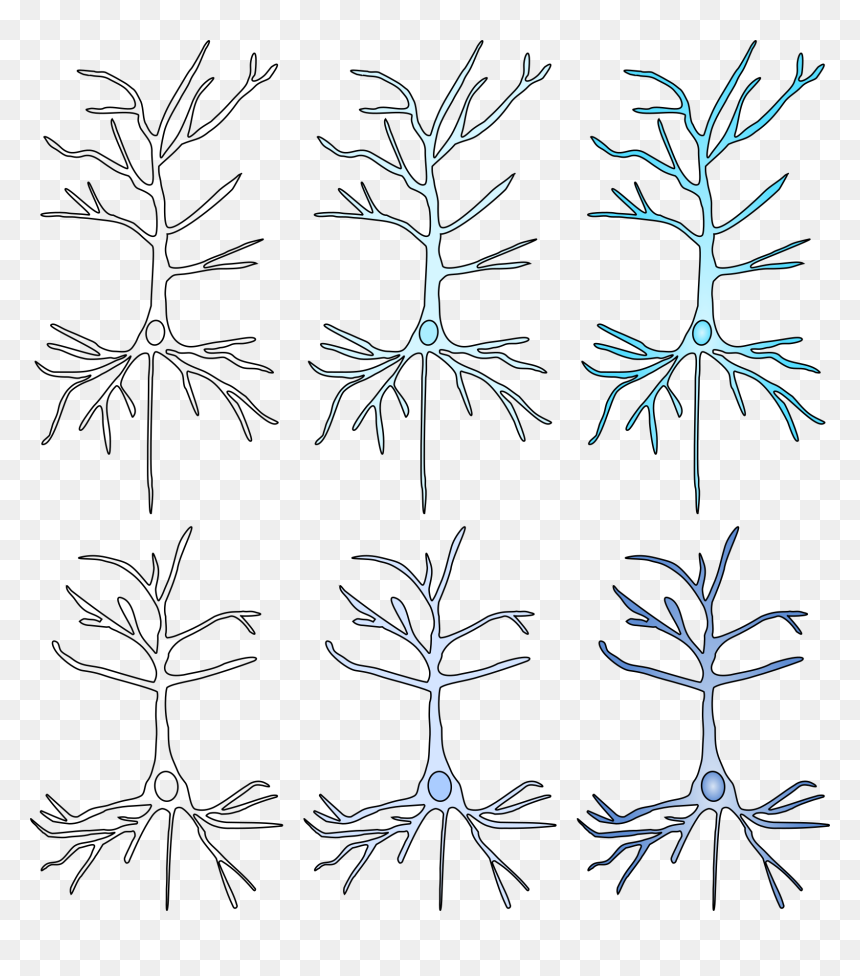 Line Art, HD Png Download - neurons png