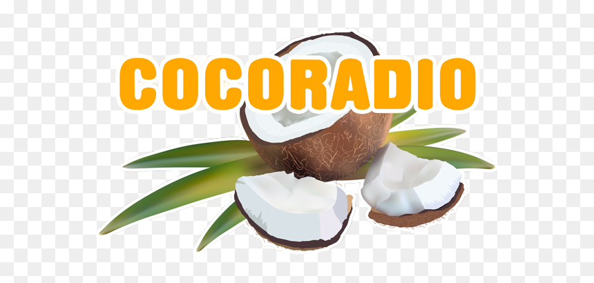 Natural Foods, HD Png Download - radio png