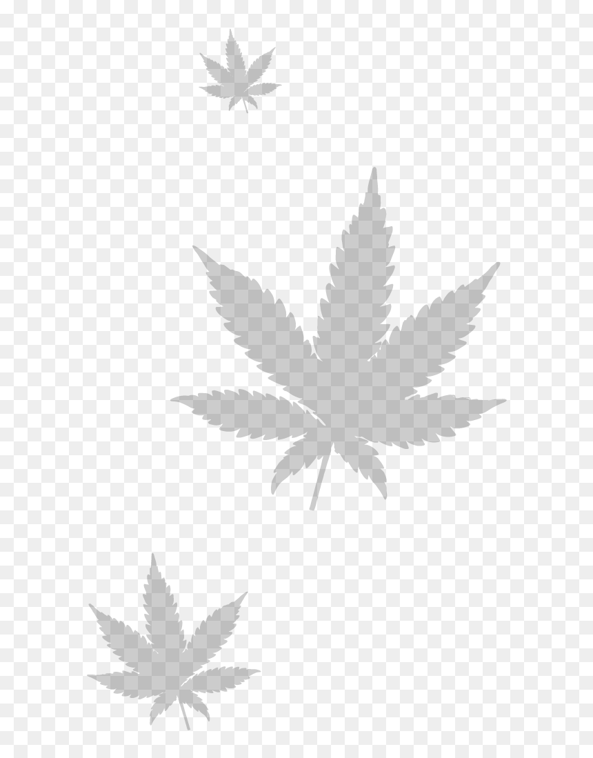 Marijuana Leaf, HD Png Download - weed leaf png