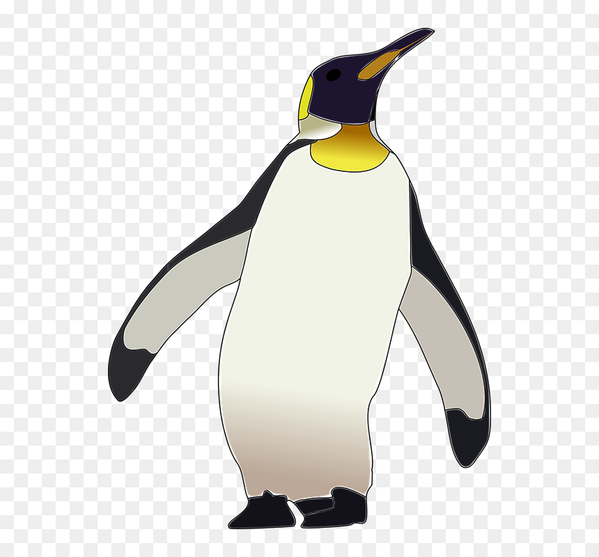 Penguin Art Transparent Background, HD Png Download - penguin png