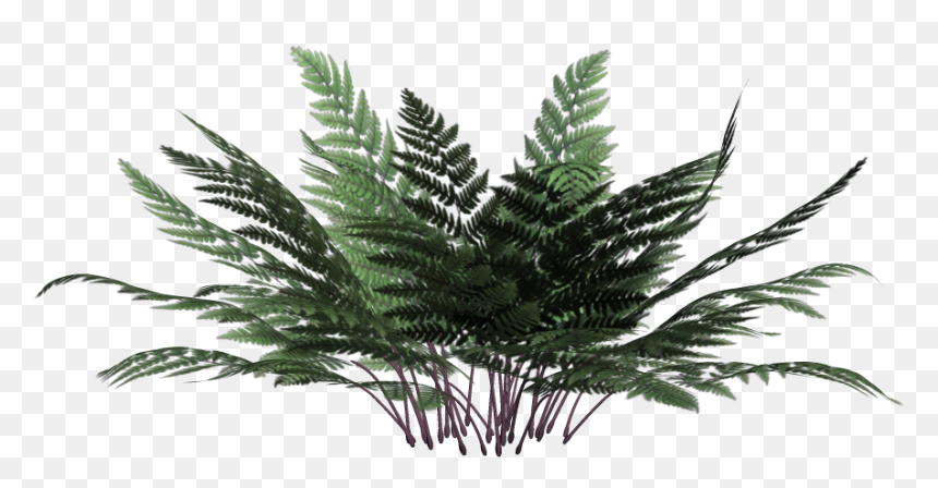 Portable Network Graphics, HD Png Download - bushes png