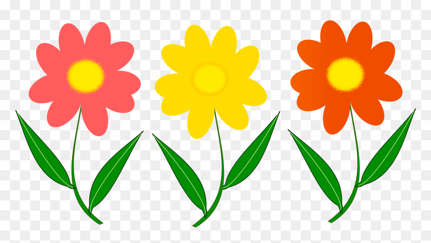 Happy First Mothers Day, HD Png Download - png flowers
