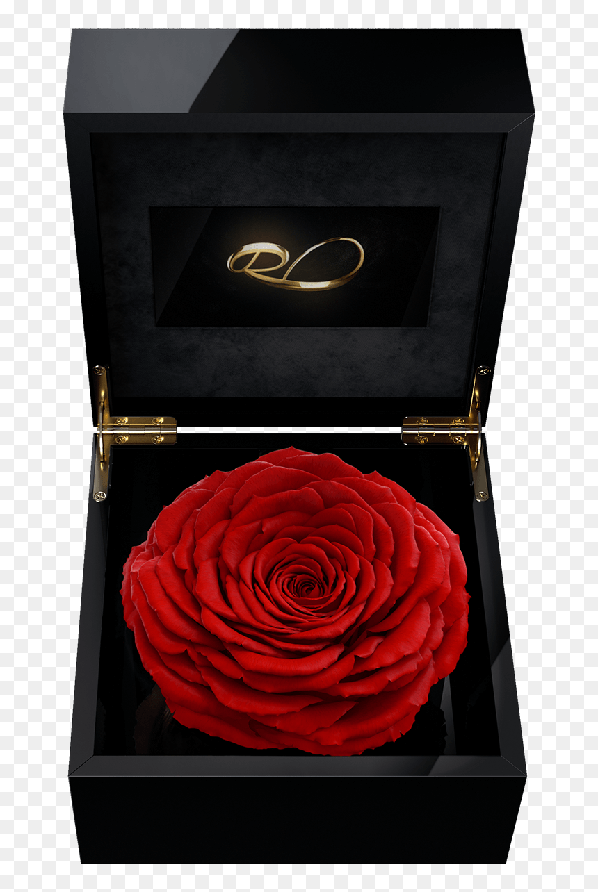 Blue Rose In A Box, HD Png Download - red rose png