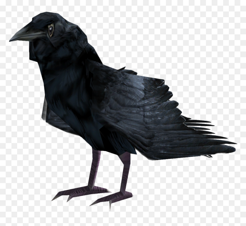 Fallout 4 Raven, HD Png Download - raven png