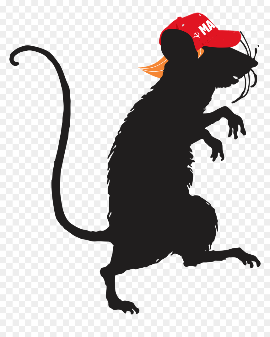Ratas Blanco Y Negro, HD Png Download - rat png
