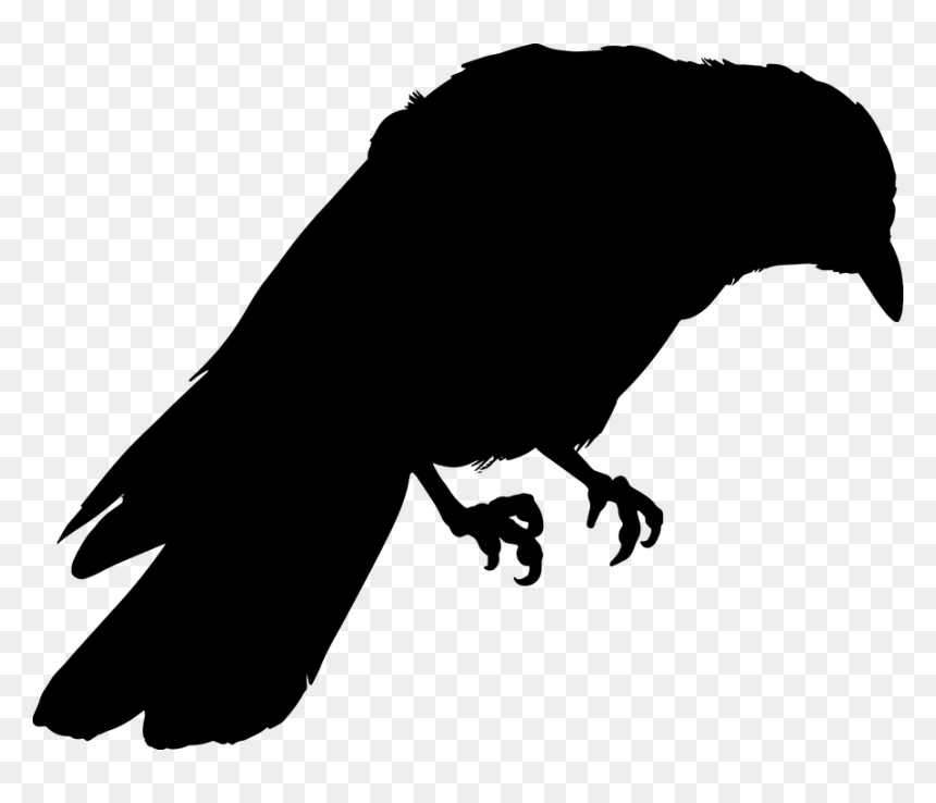 Silhouette Of Crow Png, Transparent Png - raven png