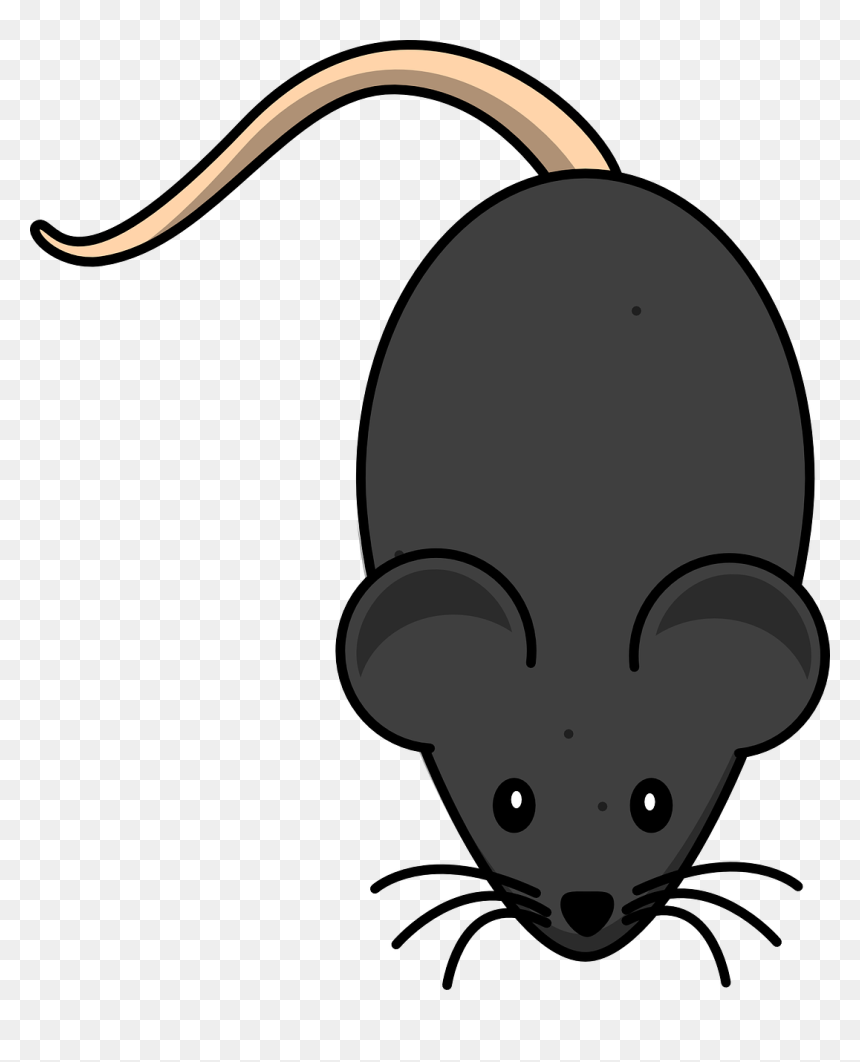 Black Mouse Clipart, HD Png Download - rat png
