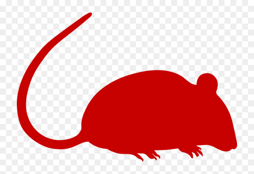 Mouse Clip Art, HD Png Download - rat png