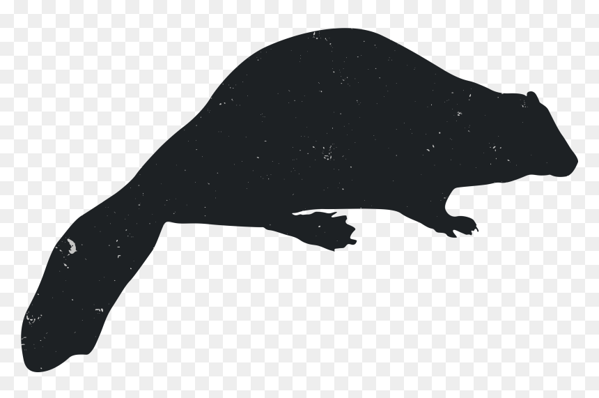 Rat, HD Png Download - rat png