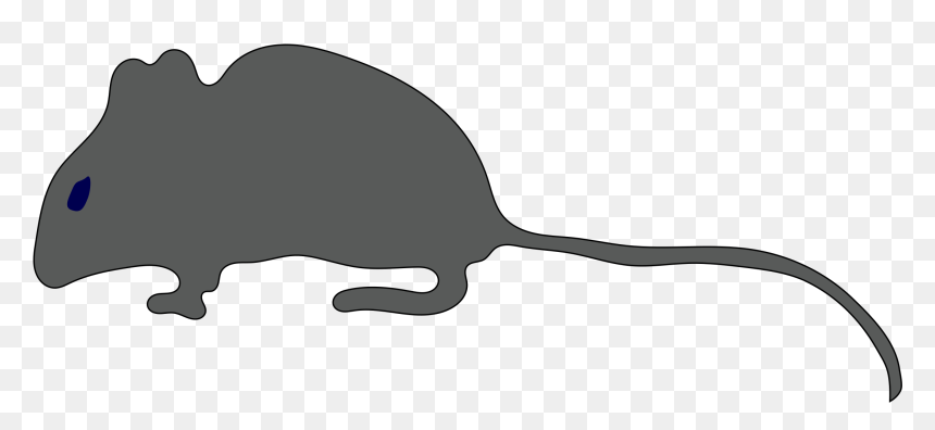 Halloween Clip Art, HD Png Download - rat png