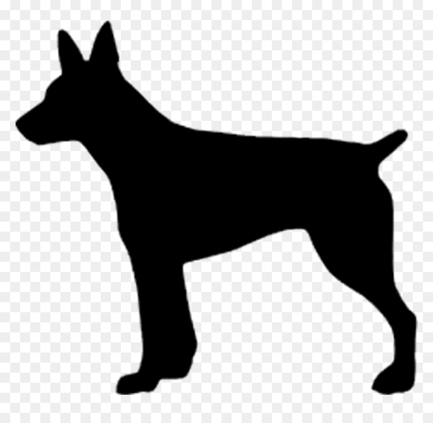 Rat Terrier Silhouette Png, Transparent Png - rat png