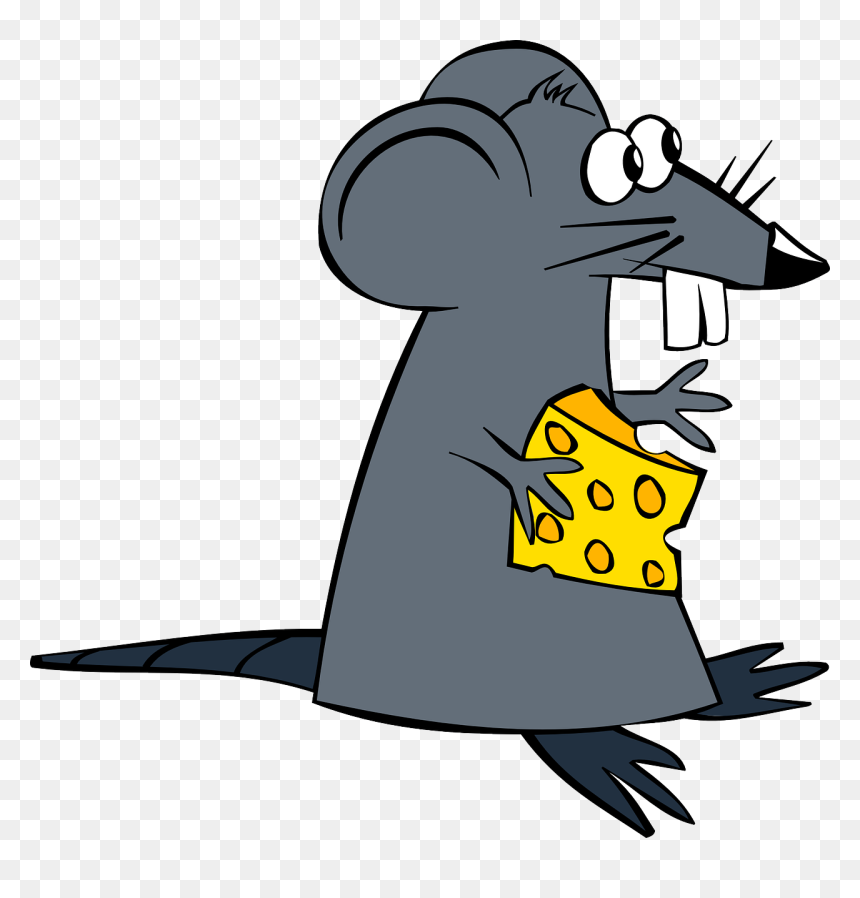 Swiss Cheese Clipart, HD Png Download - rat png