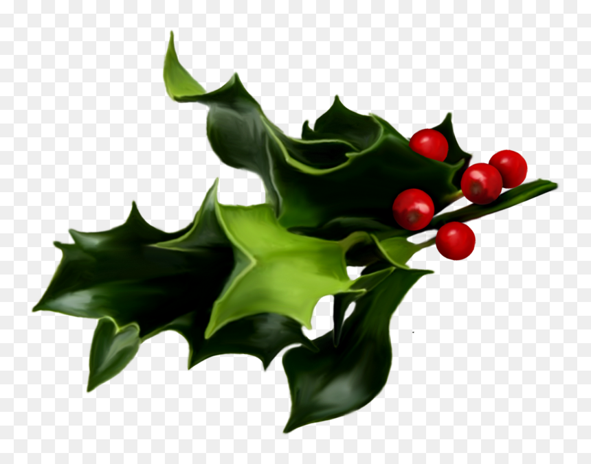 Christmas Mistletoe, HD Png Download - holly png