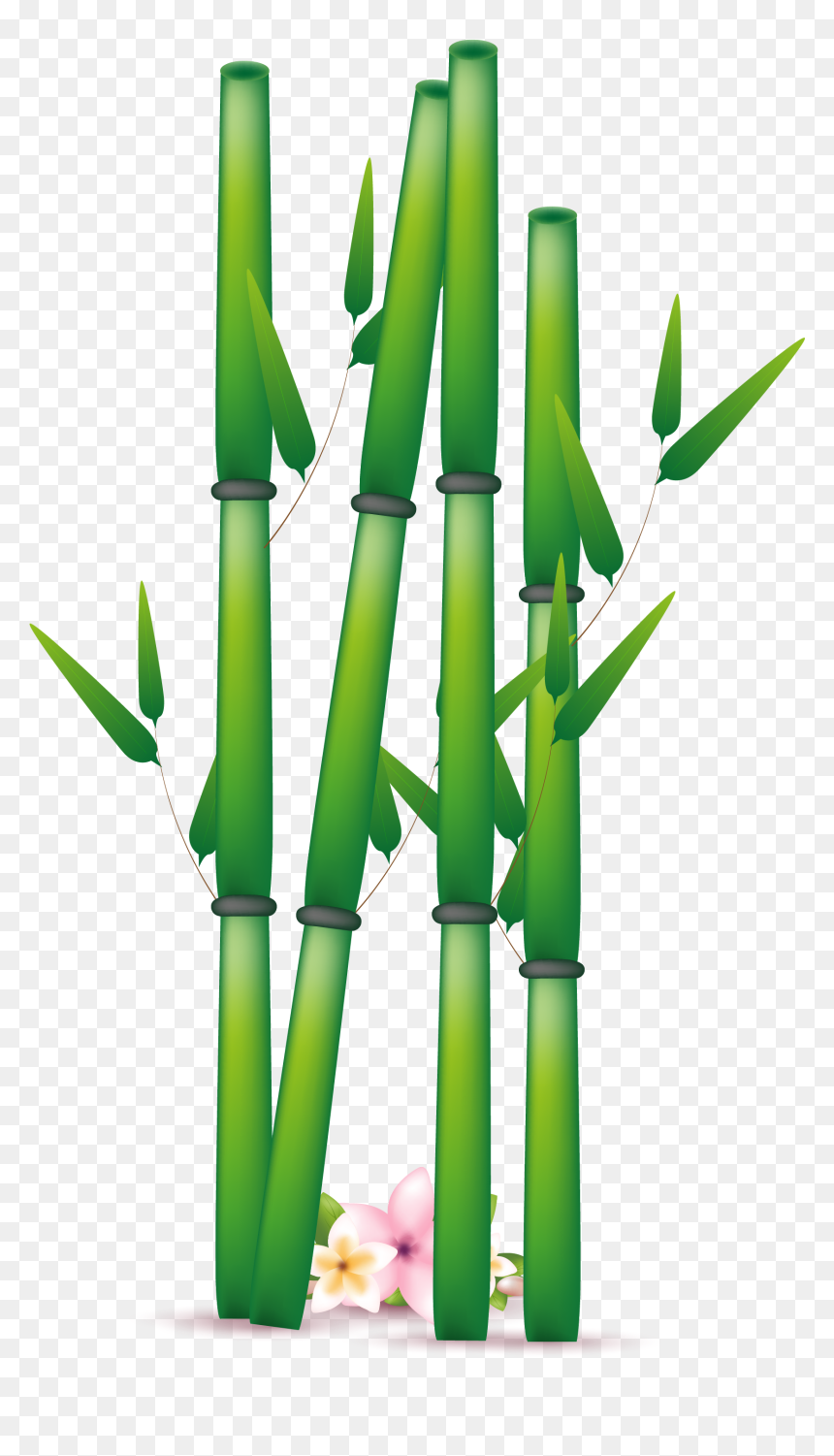 Bamboo Vector Transparent Png, Png Download - bamboo png