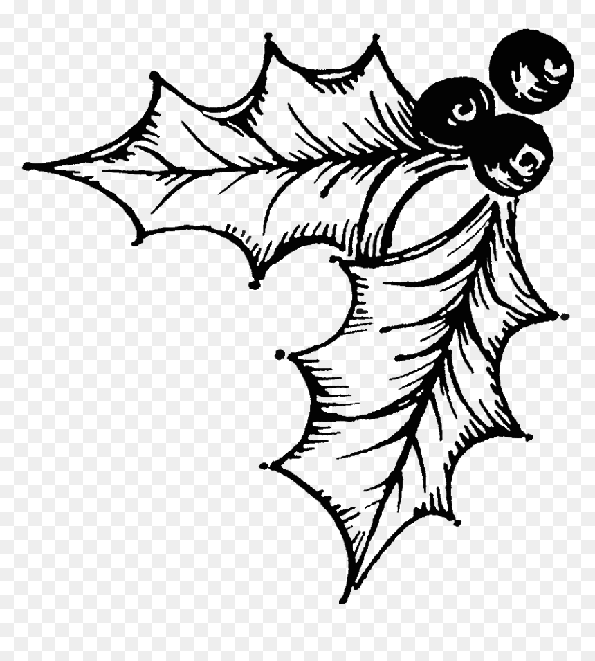 Holly Illustration, HD Png Download - holly png