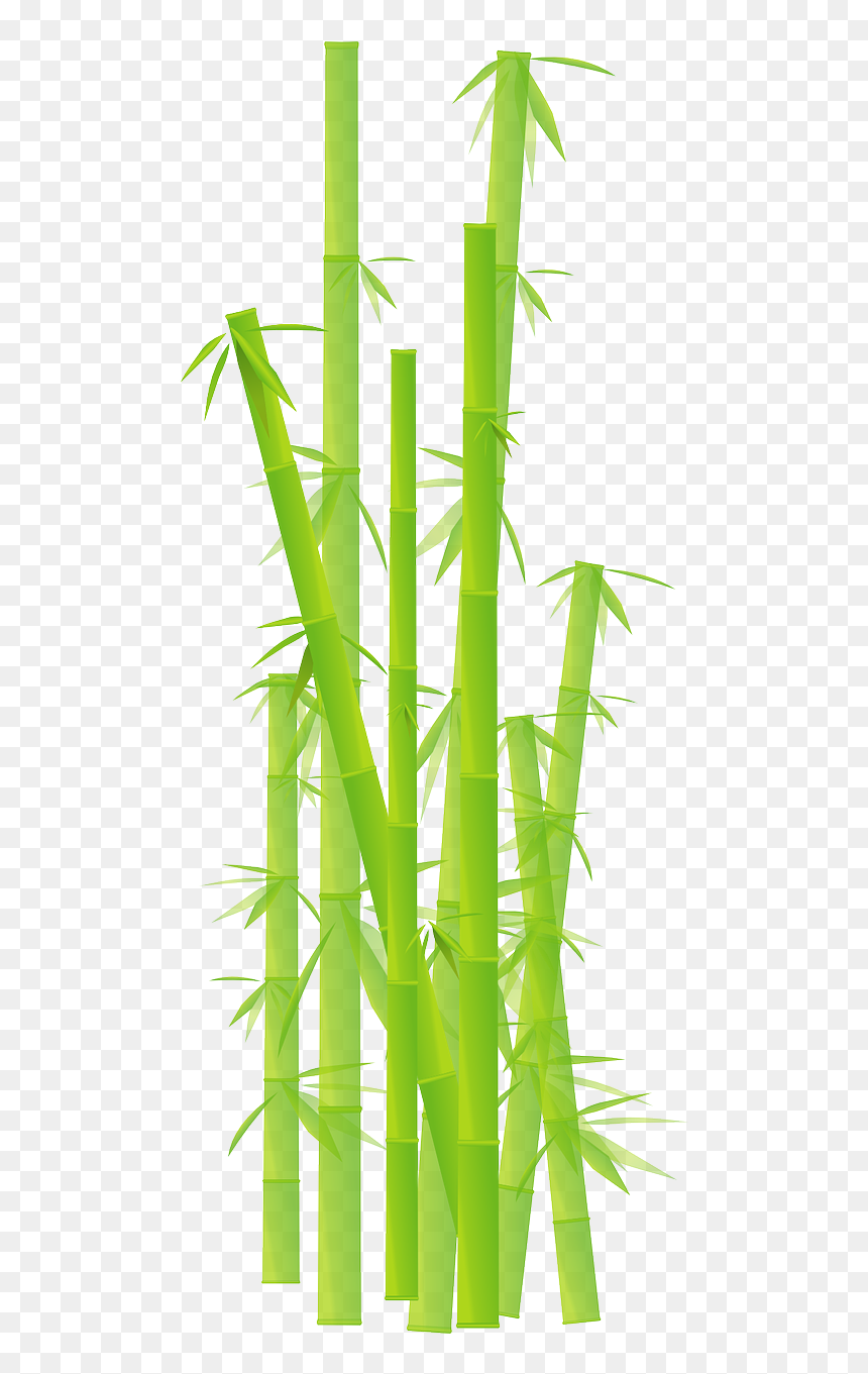 ต้น ไผ่ การ์ตูน Png, Transparent Png - bamboo png