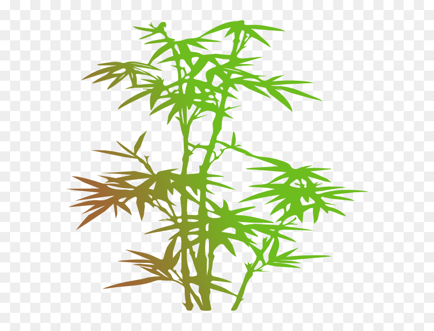 Japanese Tree Silhouette Png, Transparent Png - bamboo png