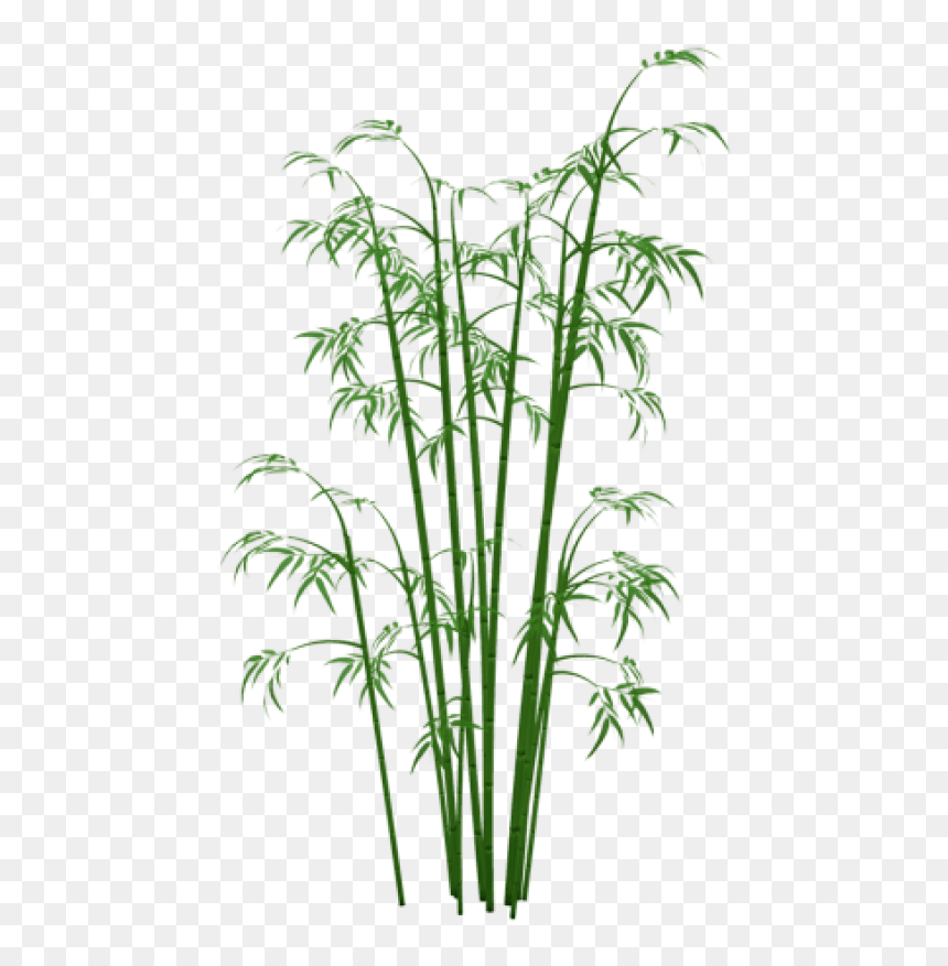 Bamboo Png, Transparent Png - bamboo png