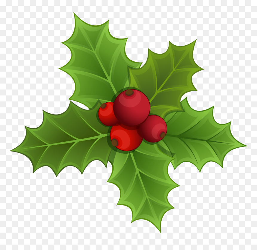 Mistletoe Clipart Holly Branch - کریستین رونالدو در یوونتوس, HD Png Download - holly png